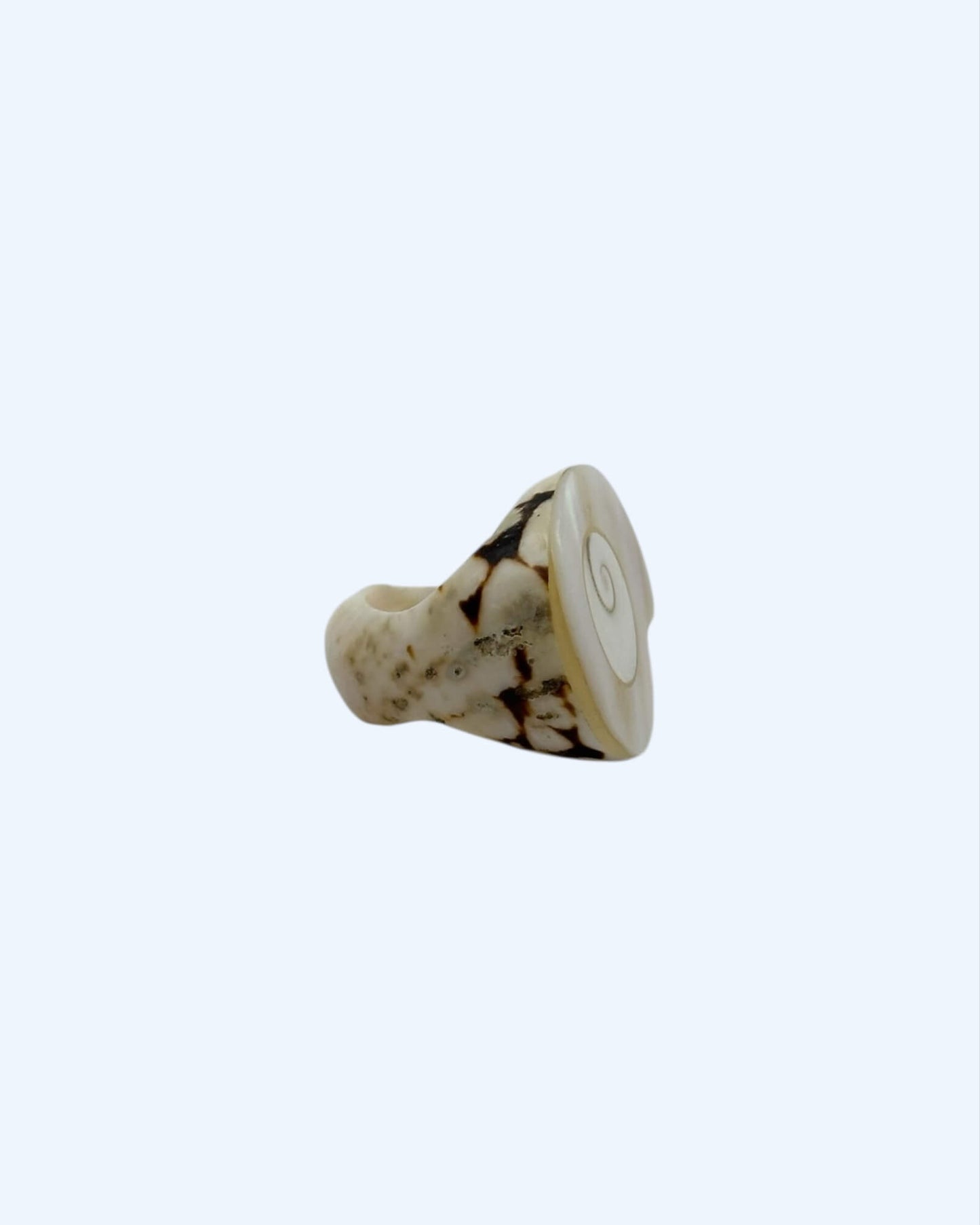 ANILLO CAURI NATURAL BEIGE CON DIBUJO