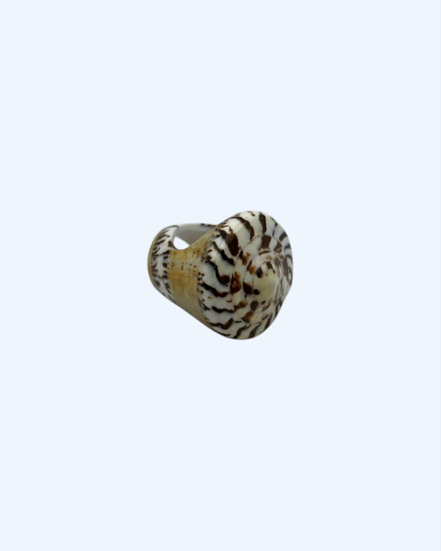 ANEL BÚZIO NATURAL CASTANHO COM ESPIRAL