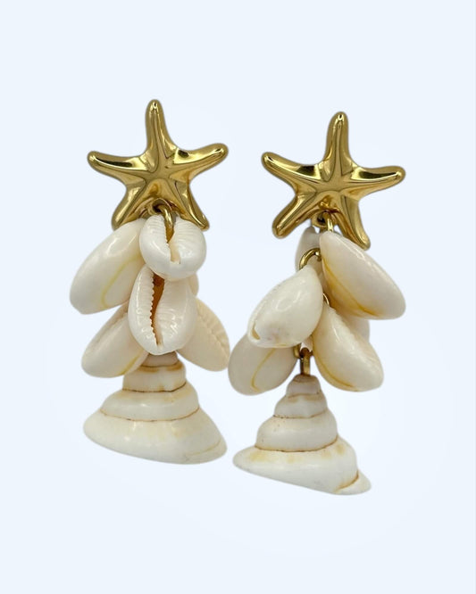 BRINCOS ESTRELA-DO-MAR EM AÇO COM BÚZIOS NATURAIS