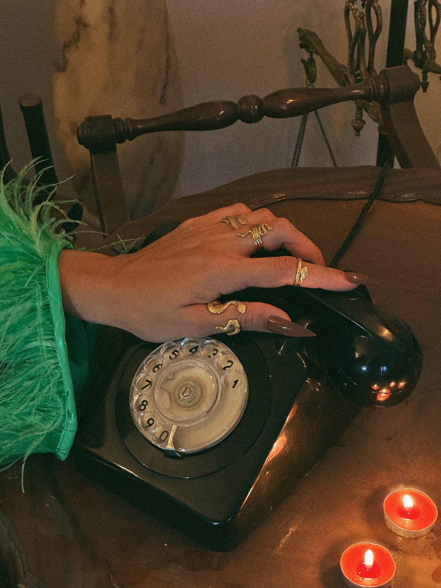 Vista de conjunto de anéis cobra a ser usado na mão.