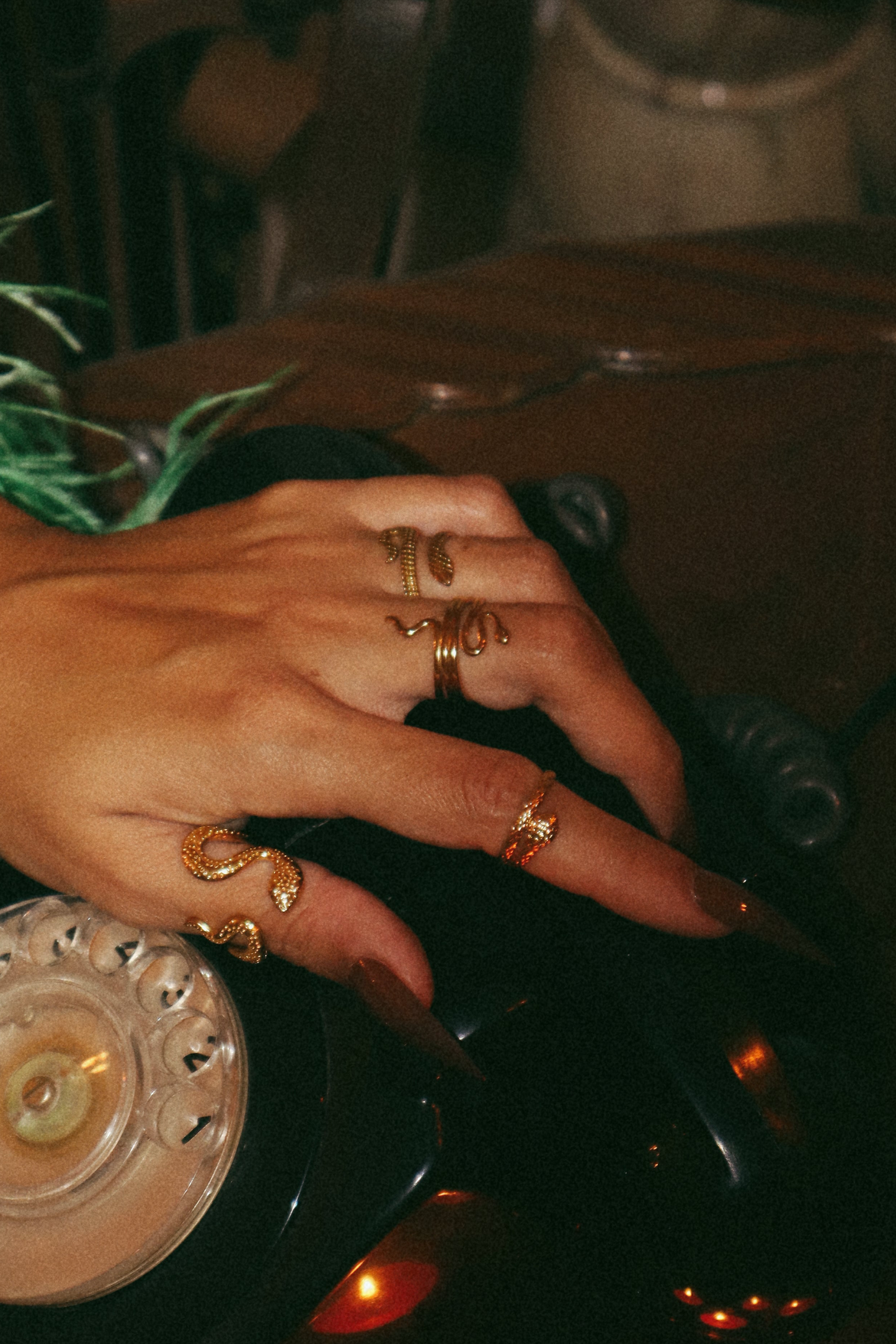 Vista de conjunto de anéis cobra a ser usado na mão.