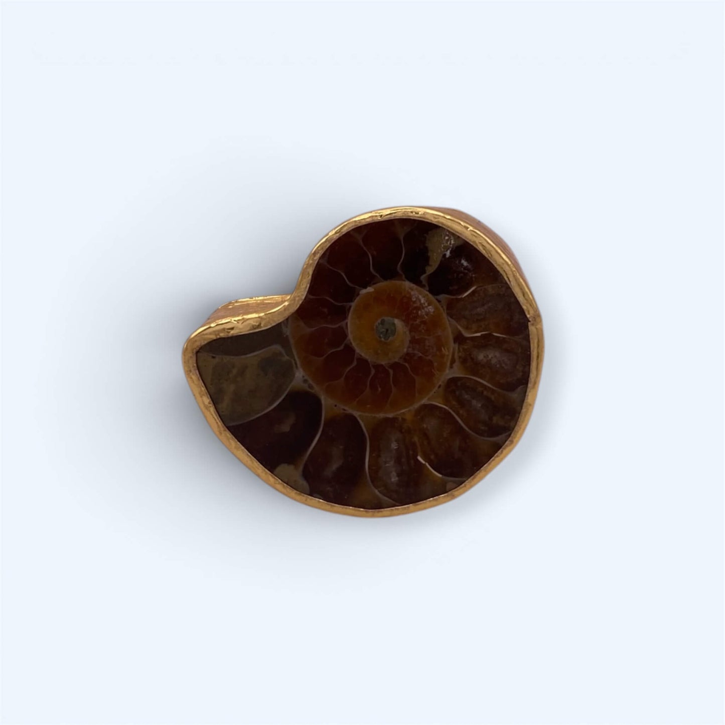 Vista frontal do anel dourado com amonite boho de tamanho ajustável. Anel perfeito para dia a dia ou festas.