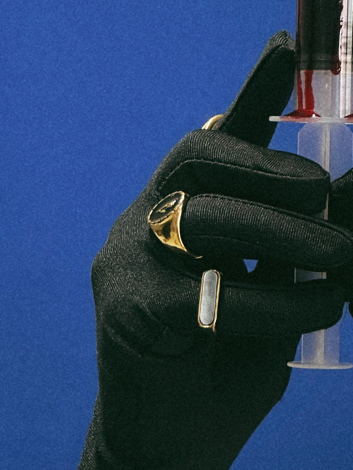 Vista a ser usado na mão do Anel sinete dourado com brasão black rose em aço inoxidável.