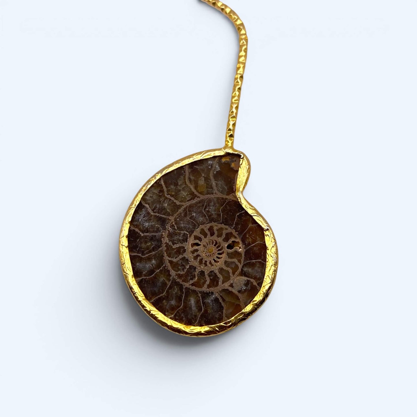 Vista em detalhe do Colar dourado aberto com amonites. De inspiração orgânica com fósseis e acabamento texturizado, é a gargantilha perfeita para cerimónias, festivais, festas de verão e looks mais glamorosos.