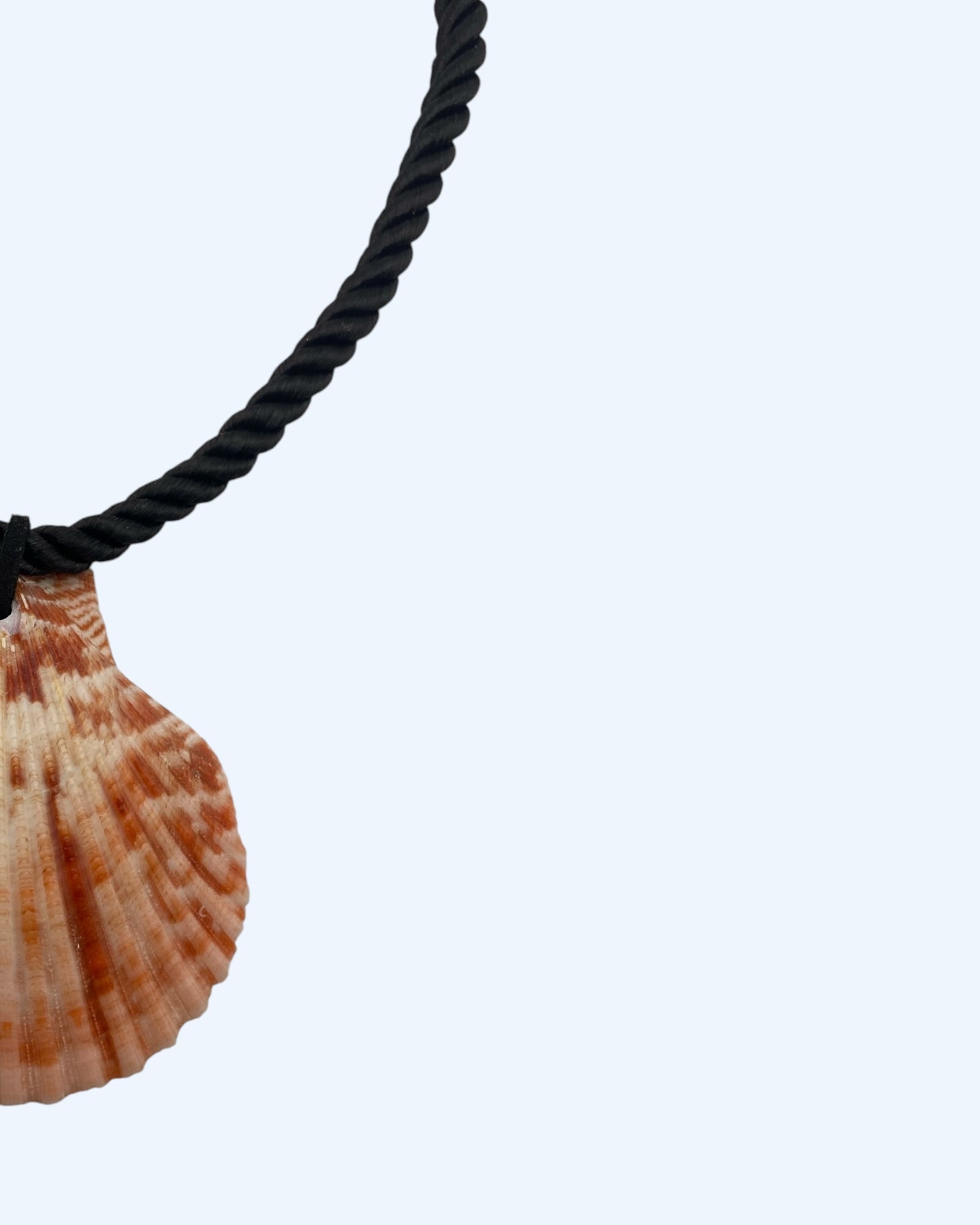 Detalhe do Colar preto em corda com concha natural vireira. Um colar inspirado no mar de versão minimalista. Perfeito para cerimónias, sunsets, jantares de verão e dia a dia. Um colar sóbrio de verão. Dentro das tendências de verão de 2026.