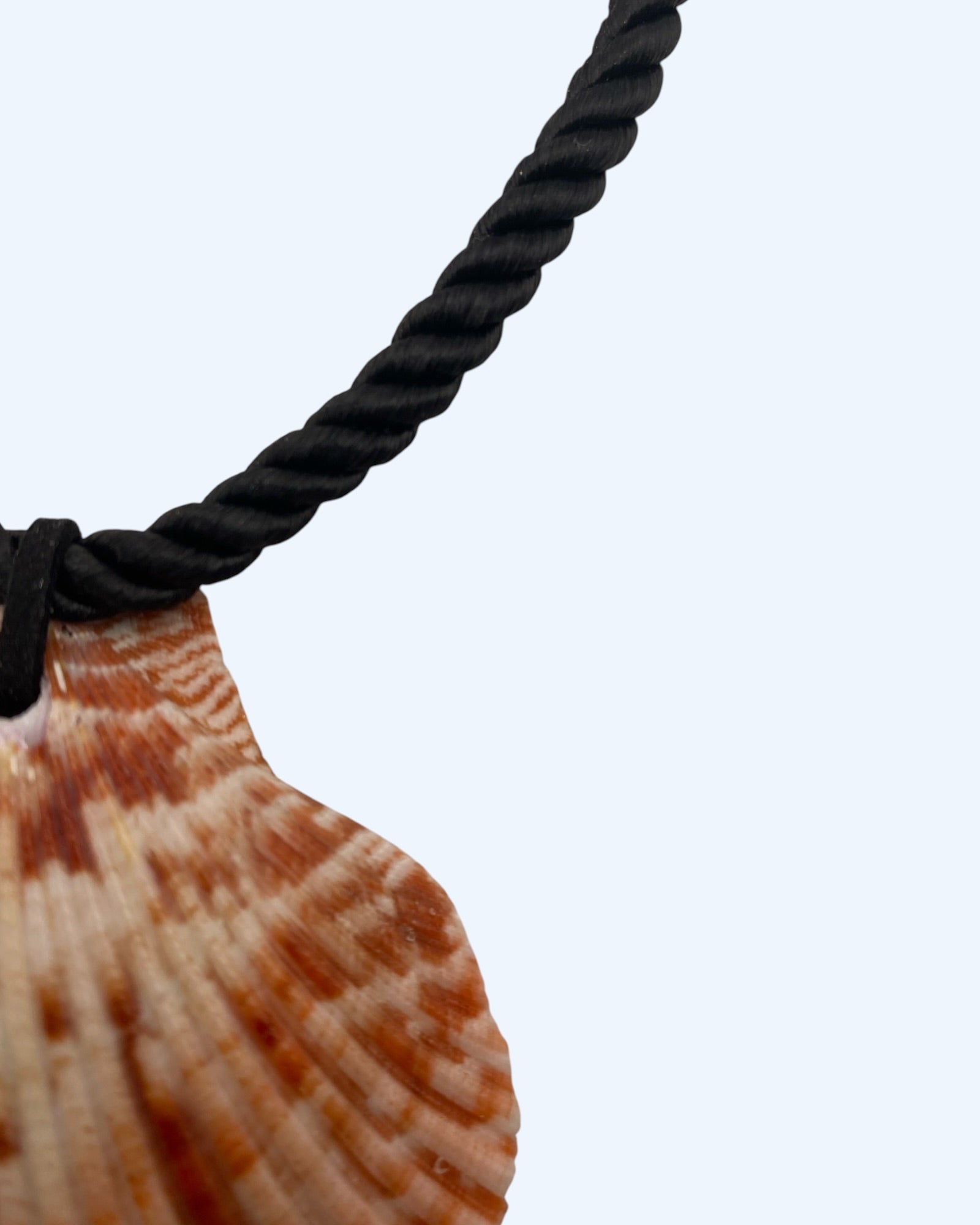 Detalhe do Colar preto em corda com concha natural vireira. Um colar inspirado no mar de versão minimalista. Perfeito para cerimónias, sunsets, jantares de verão e dia a dia. Um colar sóbrio de verão. Dentro das tendências de verão de 2026.